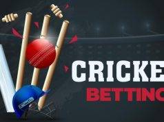 Tips for Betting on Cricket on Sites: Increasing Earnings and Reducing Losses